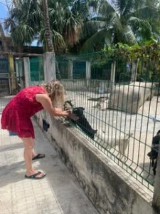 pebe sebert volunteering