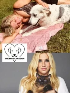 the magic mission pebe & ke$ha