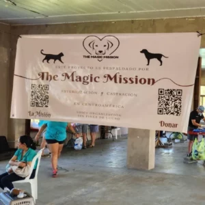 spay and neuter tela jan 2024