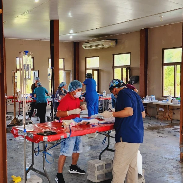 spay and neuter tela jan 2024