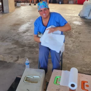 spay and neuter tela jan 2024