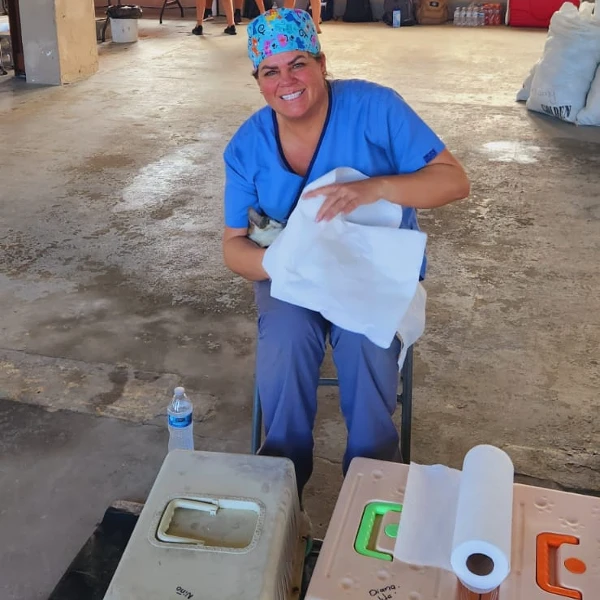 spay and neuter tela jan 2024