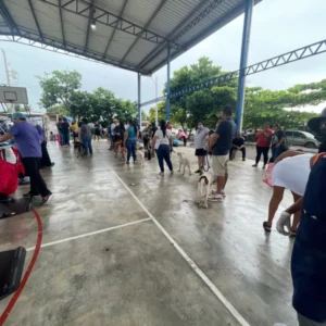 people waiting to spay animals