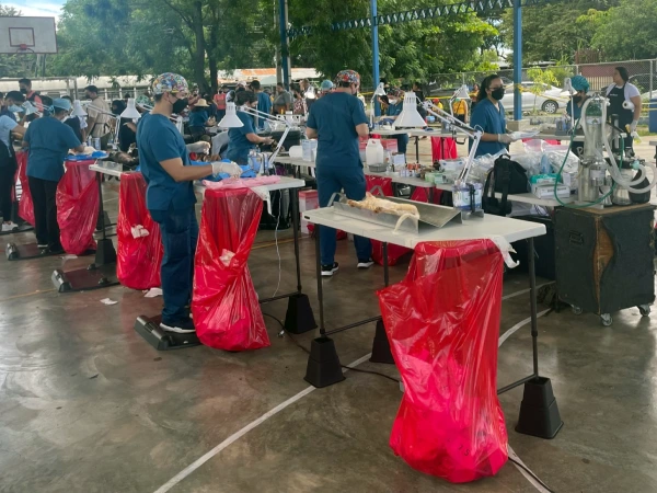 You are currently viewing Spay Panama Campaign