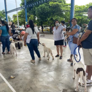 waiting in the neuter line