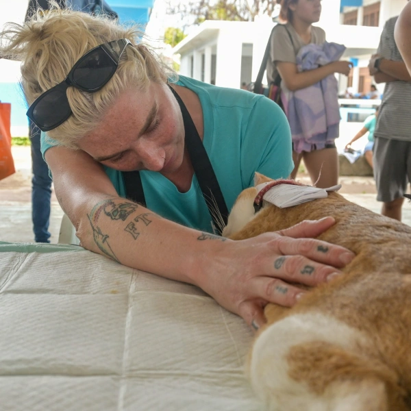 spay cozumel kesha and cat
