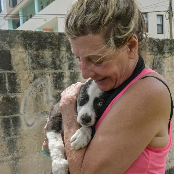 spay cozumel pebe puppy