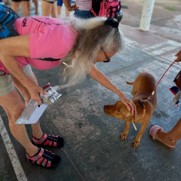 spay cozumel receiving line