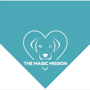 Triangle Pet Bandana