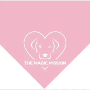 Triangle Pet Bandana