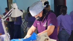 Read more about the article Olympia’s Journey: From San Pedro Sula to Panama for a Pawsome Cause!