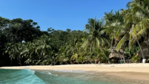 Read more about the article Grant Request | Tela, Honduras (Jan 2024)