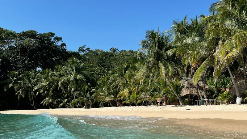 You are currently viewing Grant Request | Tela, Honduras (Jan 2024)