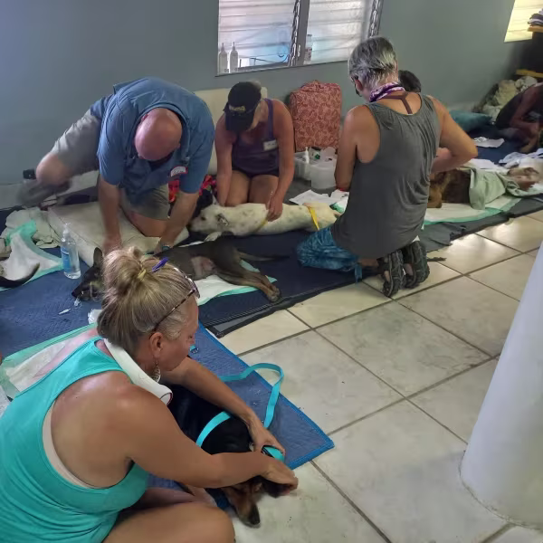 volunteers in inside recovery