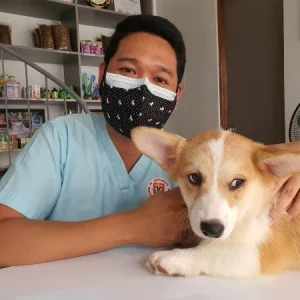 Train Honduran Veterinarians