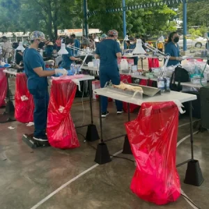 spay and neuter surgery