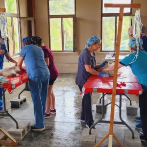 spay and neuter tela