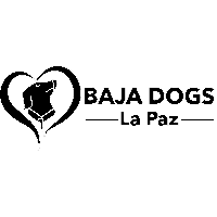 Baja Dogs Lapaz