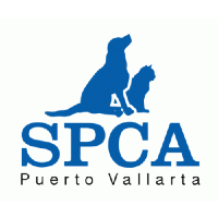 SPCA PV