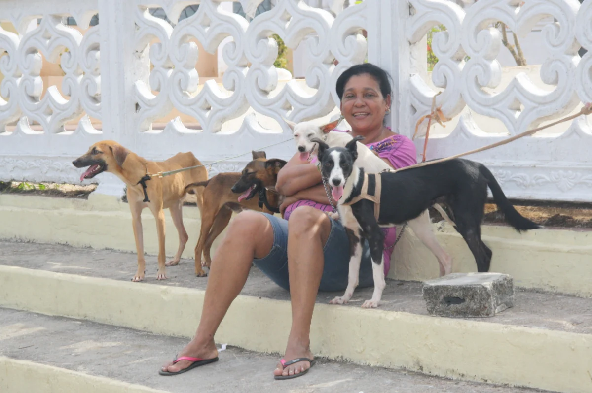 Read more about the article Spay Panama Grant Request | October 2022