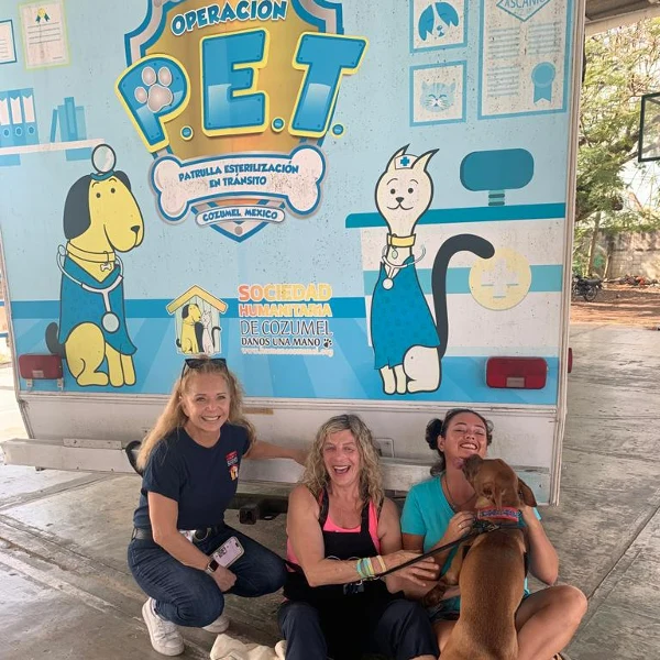 spay cozumel mobile clinic