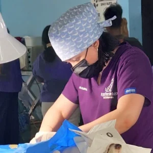 McKee Method honduras