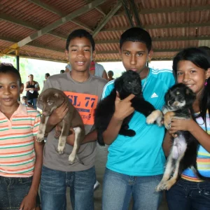 adopt an animal from central america