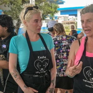 spay cozumel 2023