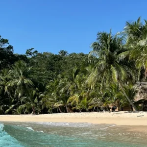 tela honduras