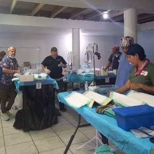 vet tables